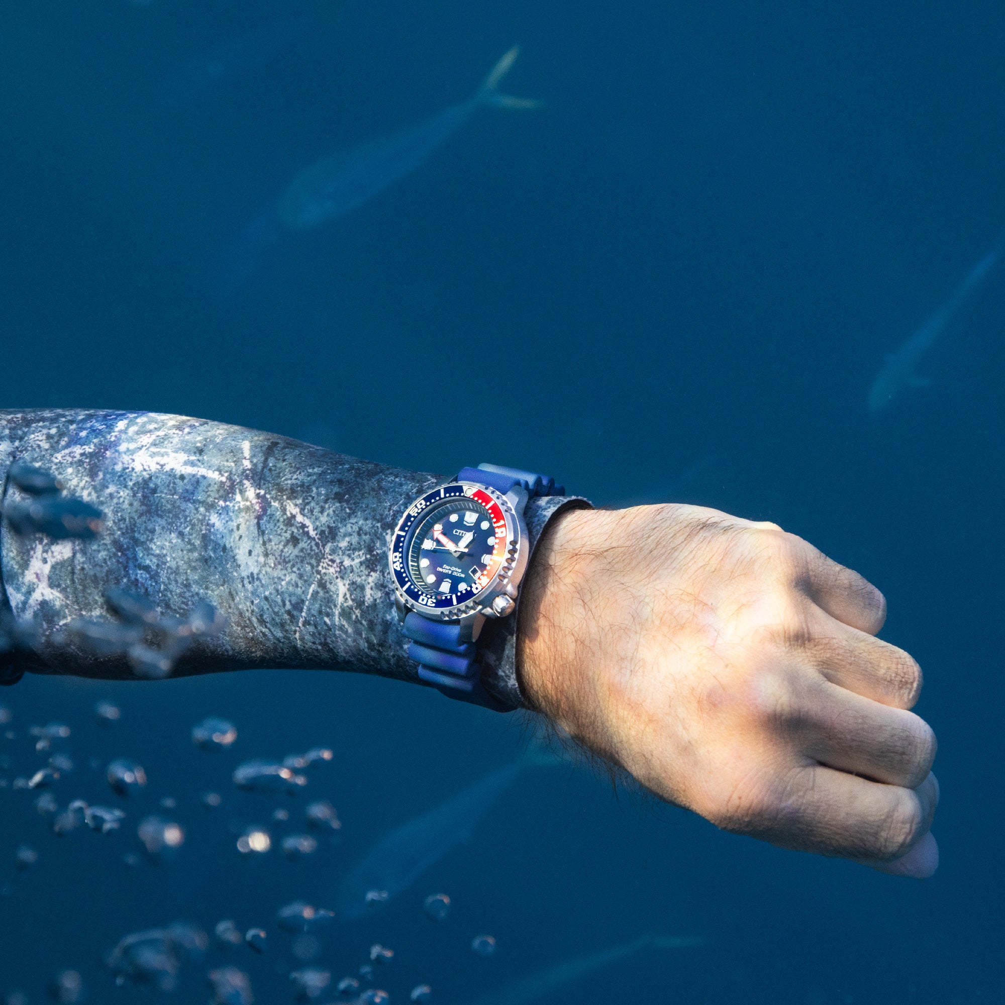 Promaster Dive 44MM Solar - BN0168-06L