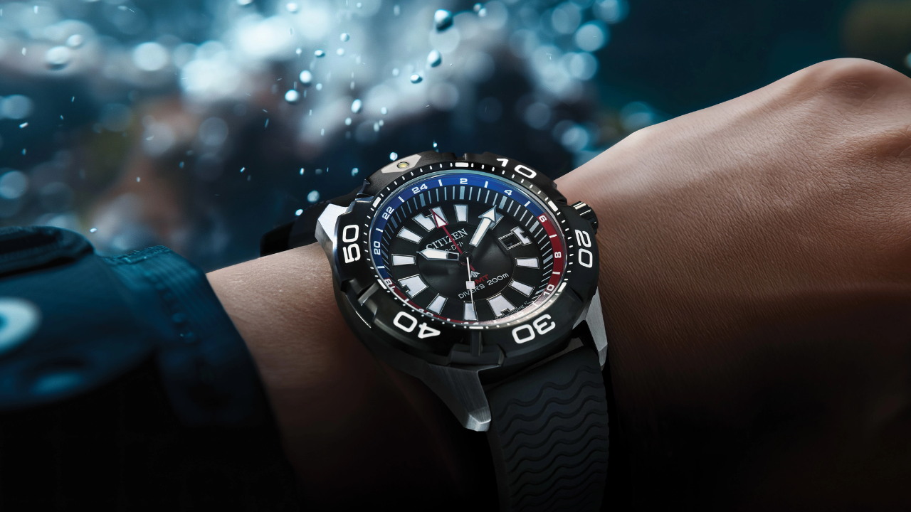 Citizen Dive Watch
